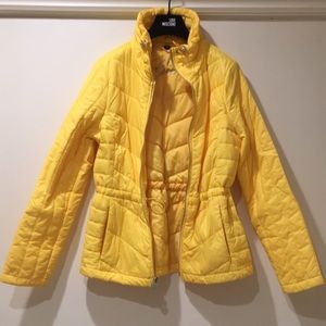guess yellow jacket